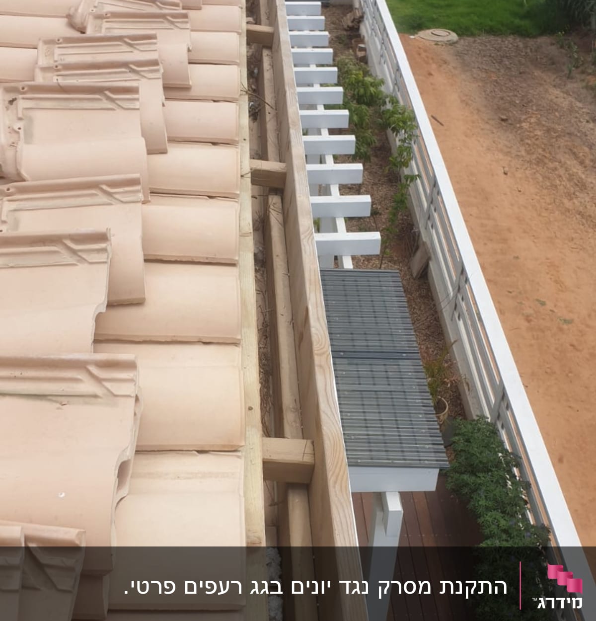 רעפים על גג עם קורות עץ חשופות